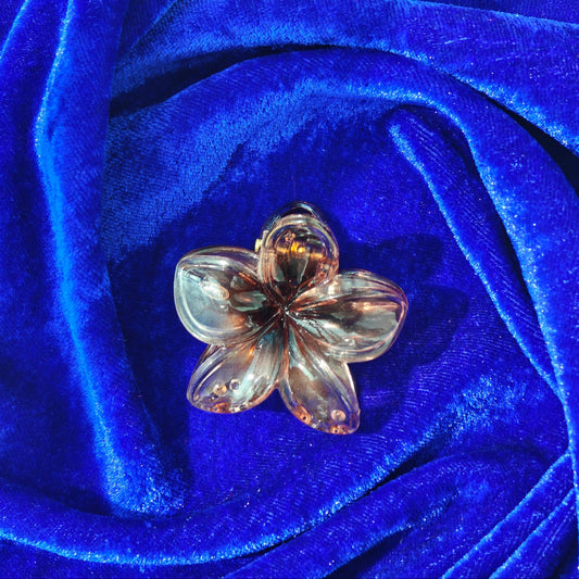 3-Piece Floral & Star Transparent Hair Claws