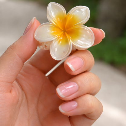 Elegant Plumeria Flower Hair Claw Clip Set